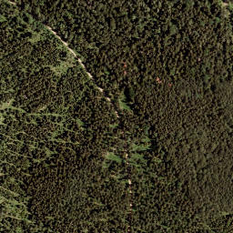 Satellite imagery of Schönbühel, AT