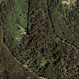 Satellite imagery of Schönbühel, AT