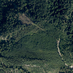 Satellite imagery of Laubkögerl, AT