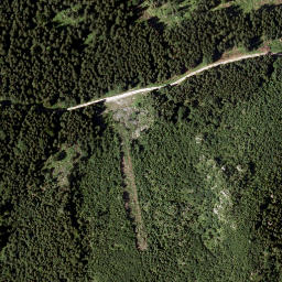 Satellite imagery of Grosser Proles, AT