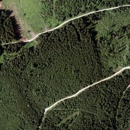 Satellite imagery of Grosser Proles, AT