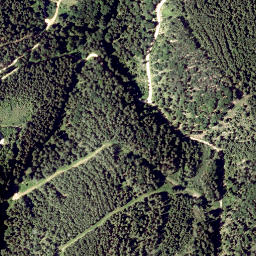 Satellite imagery of Auf dem Hals, AT