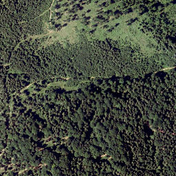 Satellite imagery of Auf dem Hals, AT