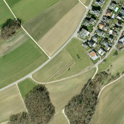Satellite imagery of Herblingen Castle, CH