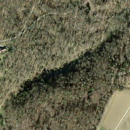 Satellite imagery of Herblingen Castle, CH