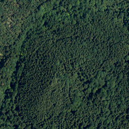 Satellite imagery of Stapfen, DE