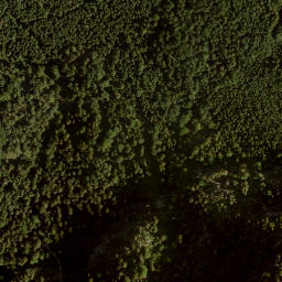 Satellite imagery of Niederer Nestlerkogel, AT