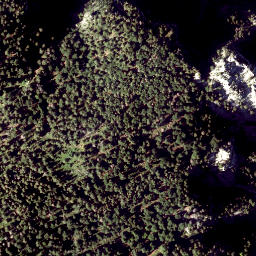 Satellite imagery of Ameisbühel, AT