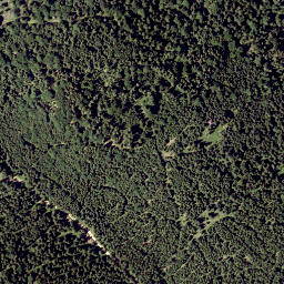 Satellite imagery of Auf dem Hals, AT