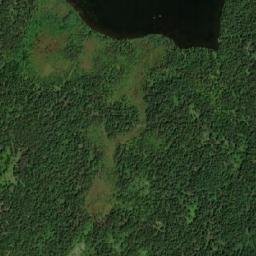 Satellite imagery of Saddle, CA