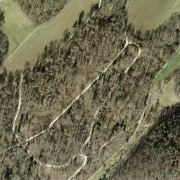 Satellite imagery of Herblingen Castle, CH