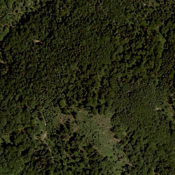 Satellite imagery of Gartenzinken, AT
