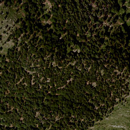 Satellite imagery of Rosenkogel, AT