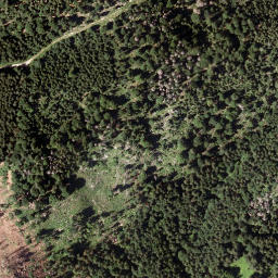 Satellite imagery of Steinhaus, AT