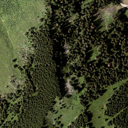 Satellite imagery of Grosser Proles, AT