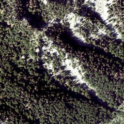 Satellite imagery of Ameisbühel, AT