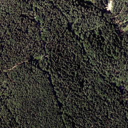 Satellite imagery of Auf dem Hals, AT