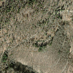 Satellite imagery of Staufenberg, CH