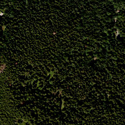 Satellite imagery of Zwieselberg, DE