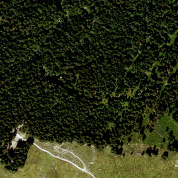 Satellite imagery of Zwieselberg, DE