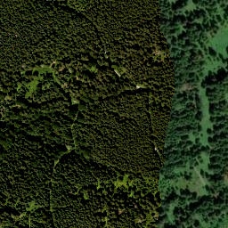 Satellite imagery of Rechelkopf, DE