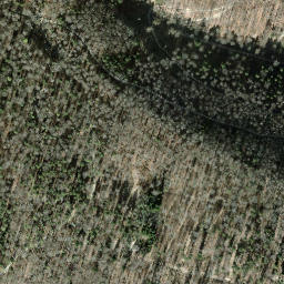 Satellite imagery of Staufenberg, CH