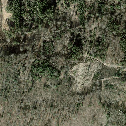 Satellite imagery of Seebuck, CH