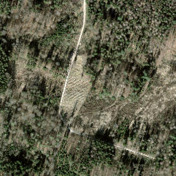 Satellite imagery of Seebuck, CH