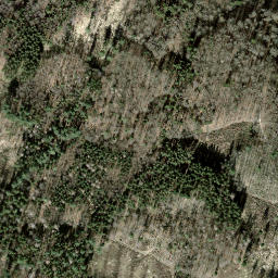 Satellite imagery of Seebuck, CH