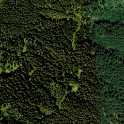 Satellite imagery of Rechelkopf, DE