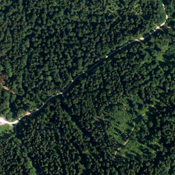 Satellite imagery of Lechnerkopf, DE