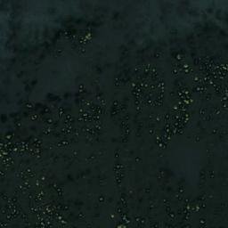 Satellite imagery of Sulzgraben Kopf, DE