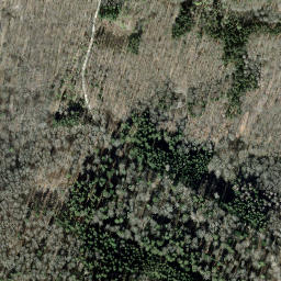 Satellite imagery of Staufenberg, CH