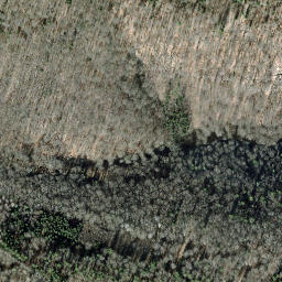 Satellite imagery of Staufenberg, CH