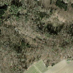 Satellite imagery of Grundbuck, CH
