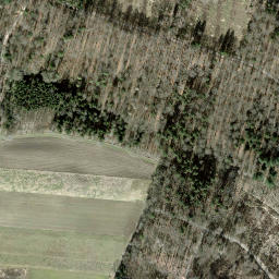Satellite imagery of Seebuck, CH