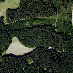 Satellite imagery of Hohe Lüß, DE