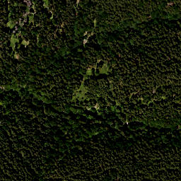 Satellite imagery of Zwieselberg, DE