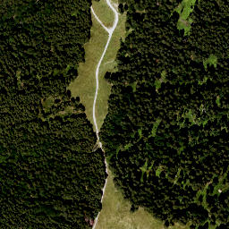 Satellite imagery of Zwieselberg, DE