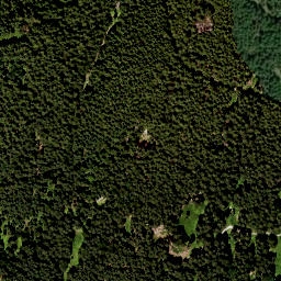 Satellite imagery of Rechelkopf, DE
