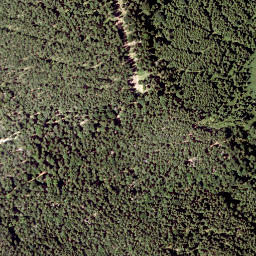 Satellite imagery of Saurüssel, AT