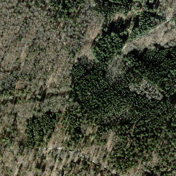 Satellite imagery of Chornberg, CH