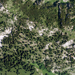 Satellite imagery of Lechnerkopf, DE