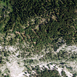 Satellite imagery of Lechnerkopf, DE