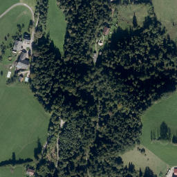 Satellite imagery of Moosgieler Bühel, AT