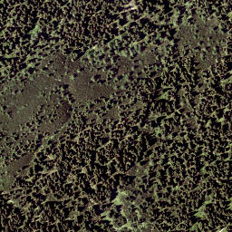 Satellite imagery of Scheibwaldhöhe, AT