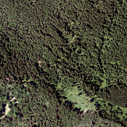 Satellite imagery of Saurüssel, AT