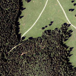 Satellite imagery of Schwarzenberg, AT