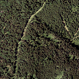 Satellite imagery of Schwarzenberg, AT