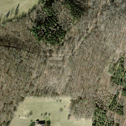 Satellite imagery of Chornberg, CH